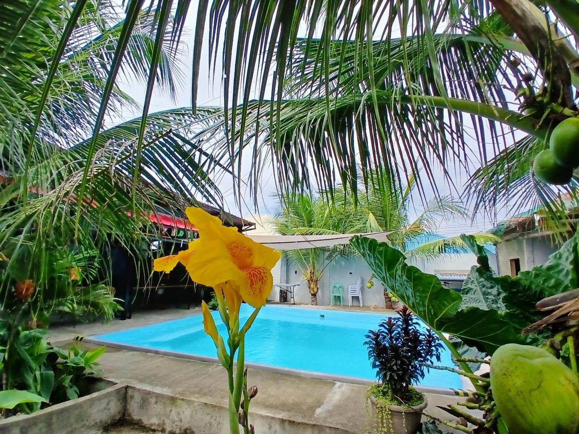 Ananas Guesthouse โมอัลโบอัล ภายนอก รูปภาพ