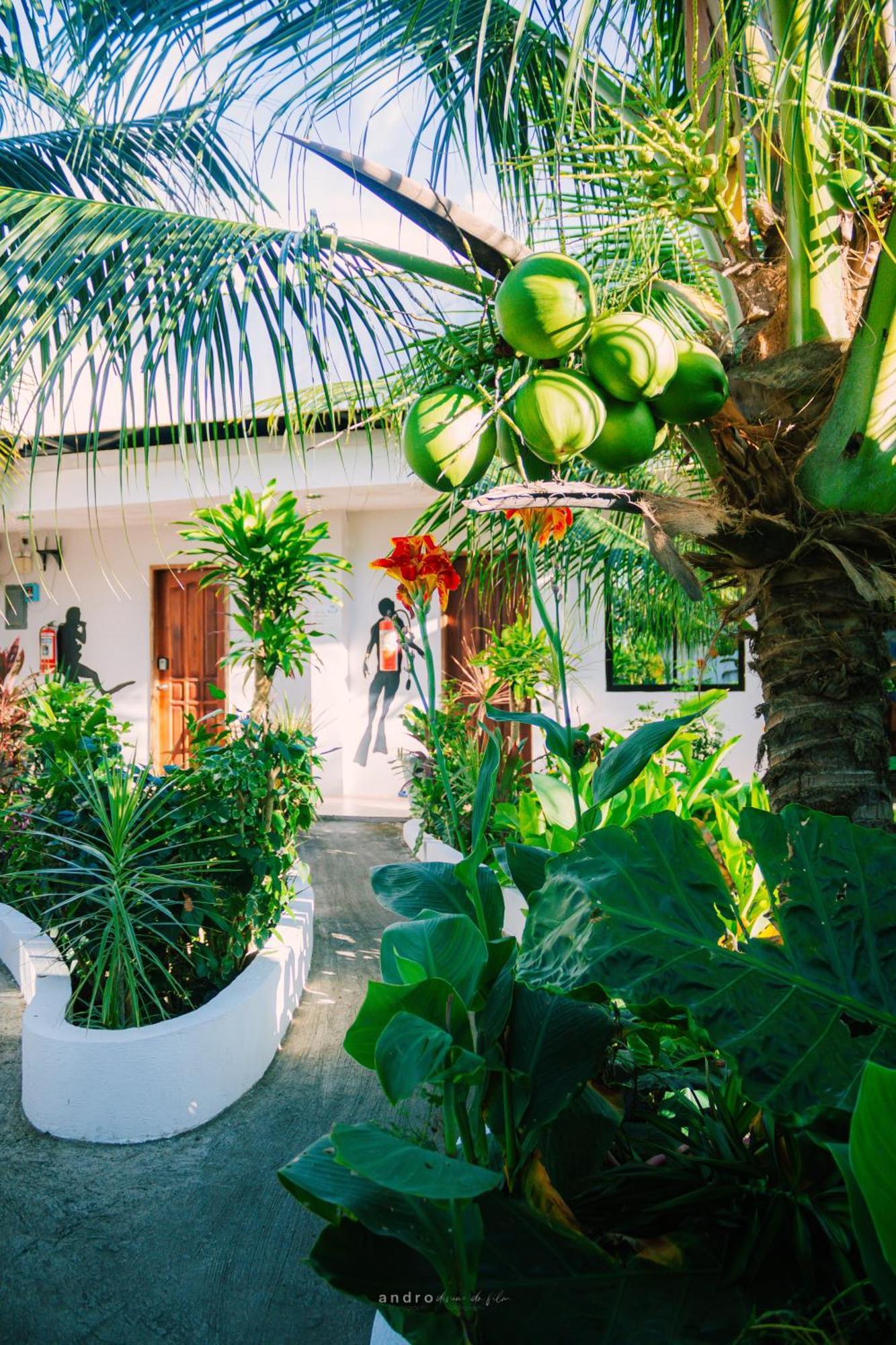 Ananas Guesthouse โมอัลโบอัล ภายนอก รูปภาพ